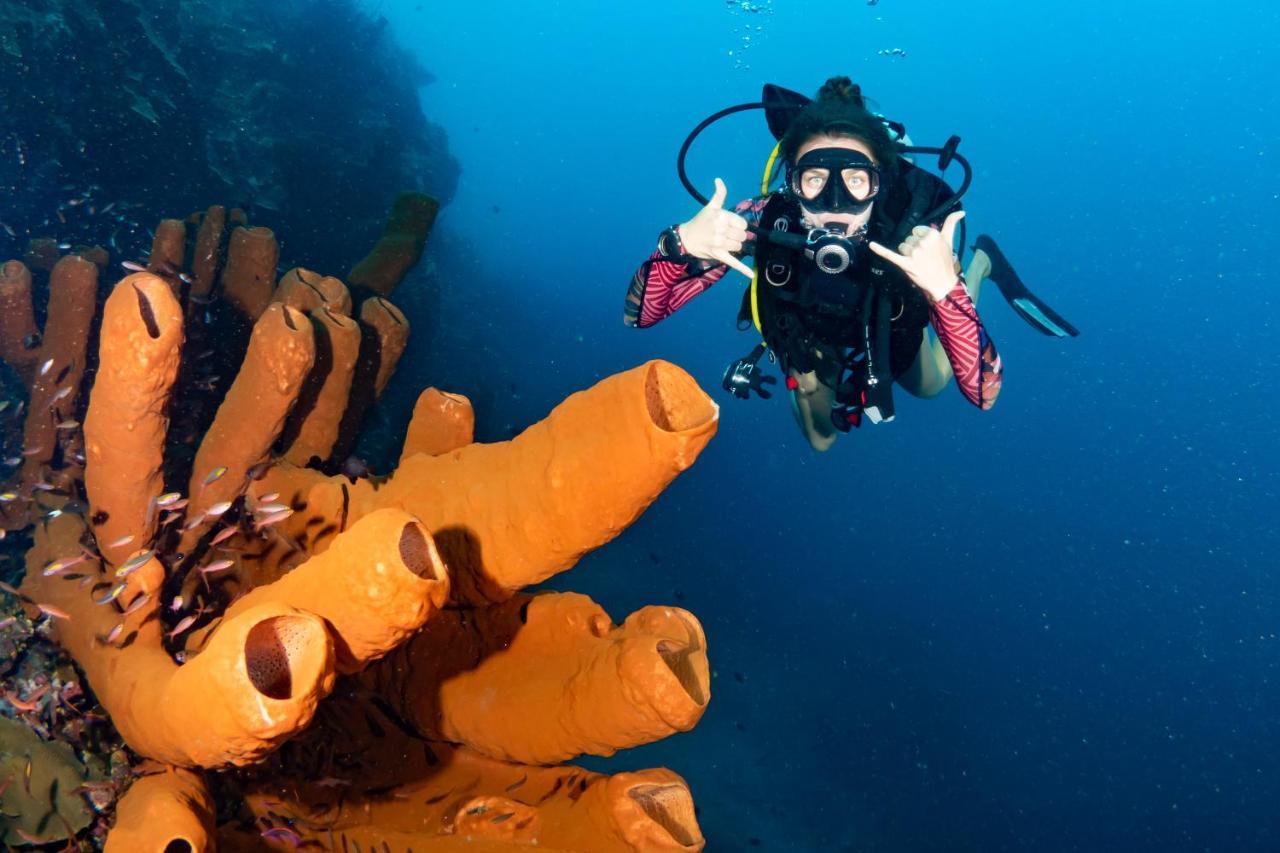 Sanctum Una Una Eco Dive Resort Pulau Unauna Exterior foto